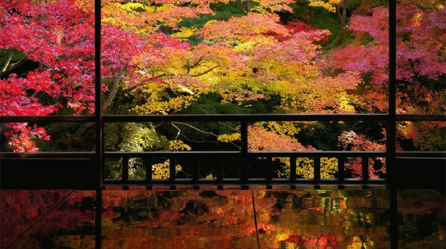 【大阪京都一日遊丨9-13小團】南禪寺&三千院&貴船神社巡遊