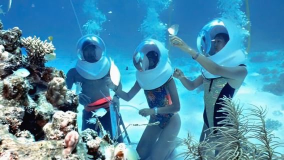 Cham Island Snorkeling & Sea Walking Full-day Experience: Depart from Da Nang or Hoi An (No Fishing Village Stop)