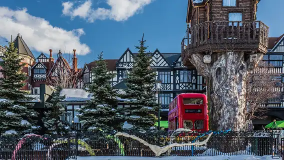 홋카이도 오타루 덴구산 당일 치기 여행 9인 소그룹/버스 투어 호텔 픽업 가능 중국어