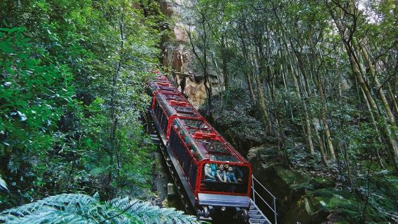 Blue Mountains: Scenic World Entry Ticket + Harbour Cruise from Sydney