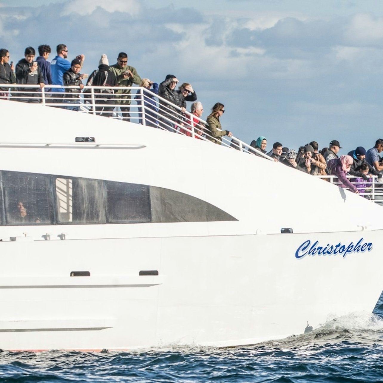 Long Beach: Whale and Dolphin Watching Cruise