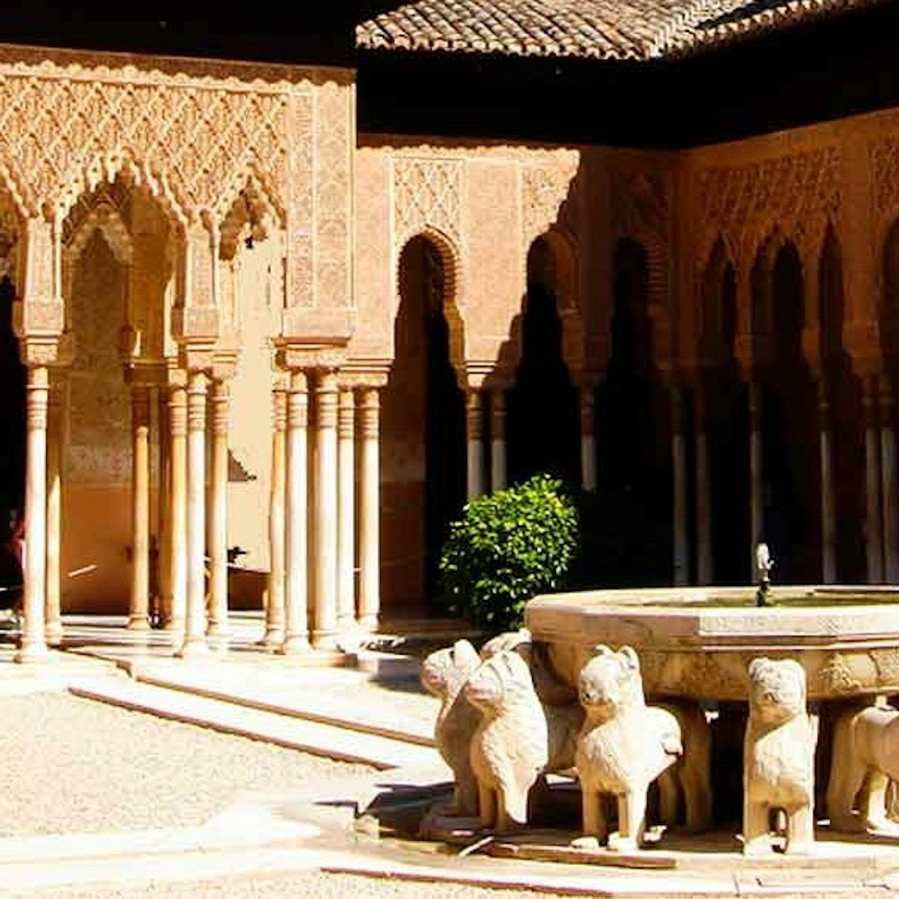 Alhambra: biglietto salta fila + visita guidata privata
