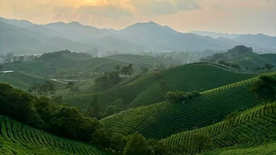 信陽市區來回包車｜南灣湖風景區-文新茶村一日遊（多車型可選）