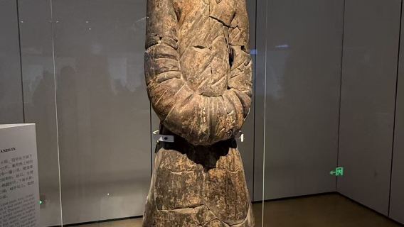 Terracotta Warriors admission ticket + Guided guide with Chinese/Mandarin /English Guide/Small Group Service/Including Lishan Garden