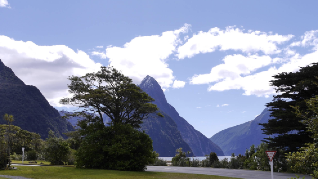 紐西蘭皇后鎮-箭鎮-瓦納卡鎮-蒂卡波【中文專車-愜意舒適】