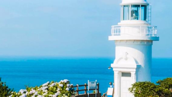 柱狀節理帶+泰迪熊博物館+西歸浦潛水艇一日遊【中文 包車遊】