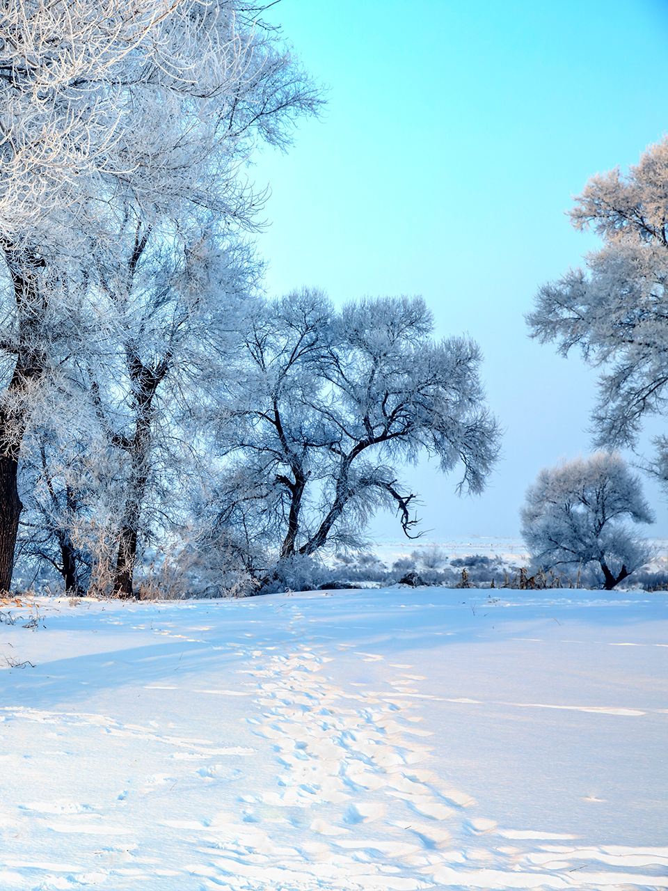樺皮嶺徒步踏雪純玩1日遊【共乘天天發+張家口市區上門接駁】