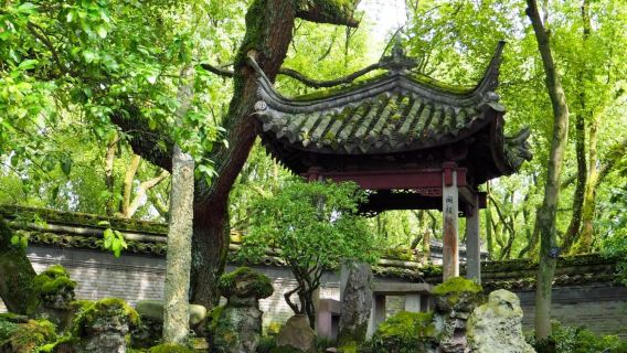 "Fascino Antico di Yongcheng" Biblioteca Tianyi, Antica Via Nantang, Antica Città di Cicheng, Tempio Baoguo, trasporto porta a porta