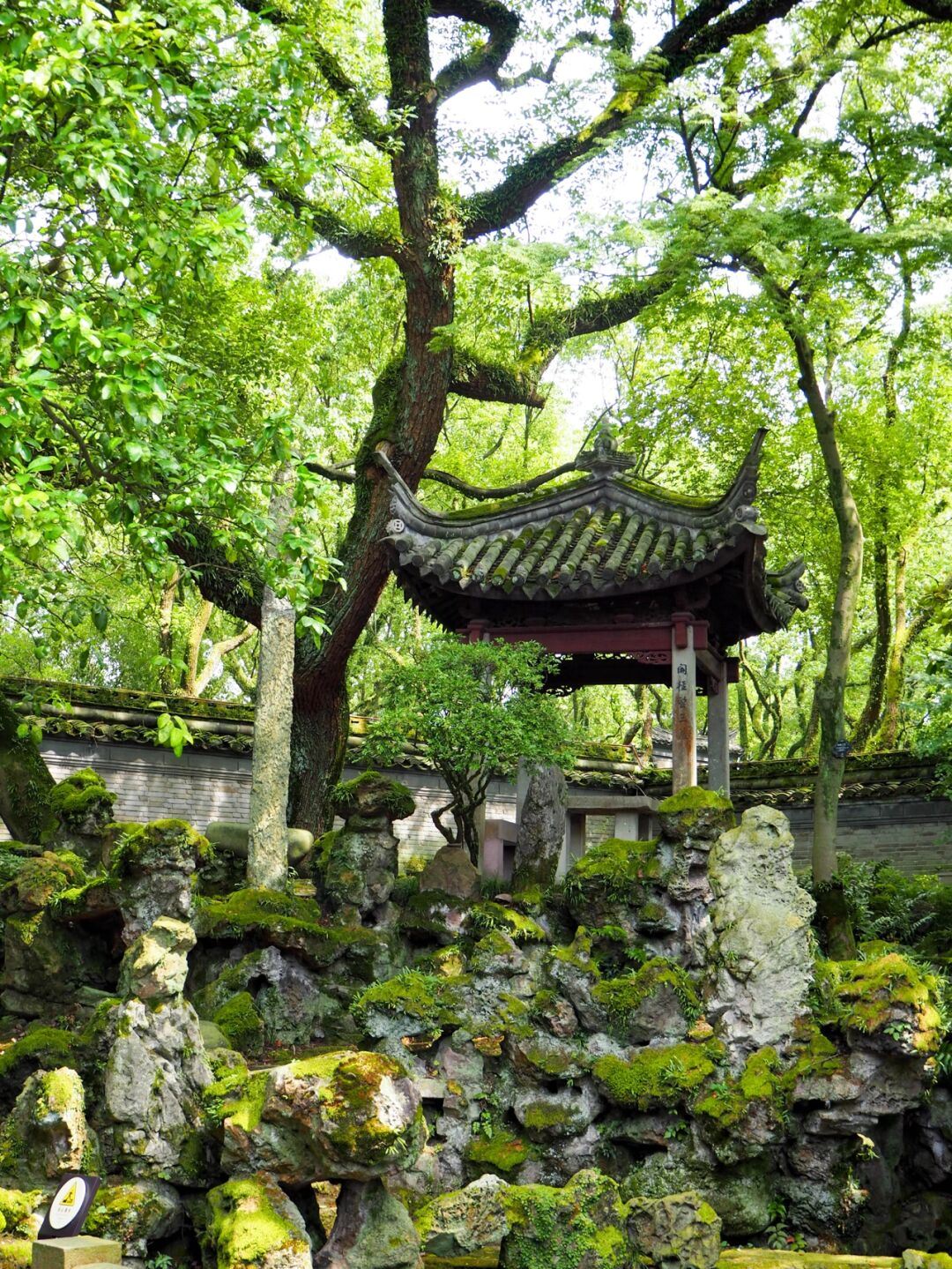 "Encanto Antiguo de Ningbo»: Biblioteca Tianyi, Templo Tiantong, Lago Dongqian, Calle Antigua Hanling, traslados puerta a puerta en grupo exclusivo