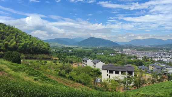 Business Vehicle | Optional English Guide | Departing from Hangzhou: Jingshan Tea Culture Park + Liangzhu Ancient City Ruins