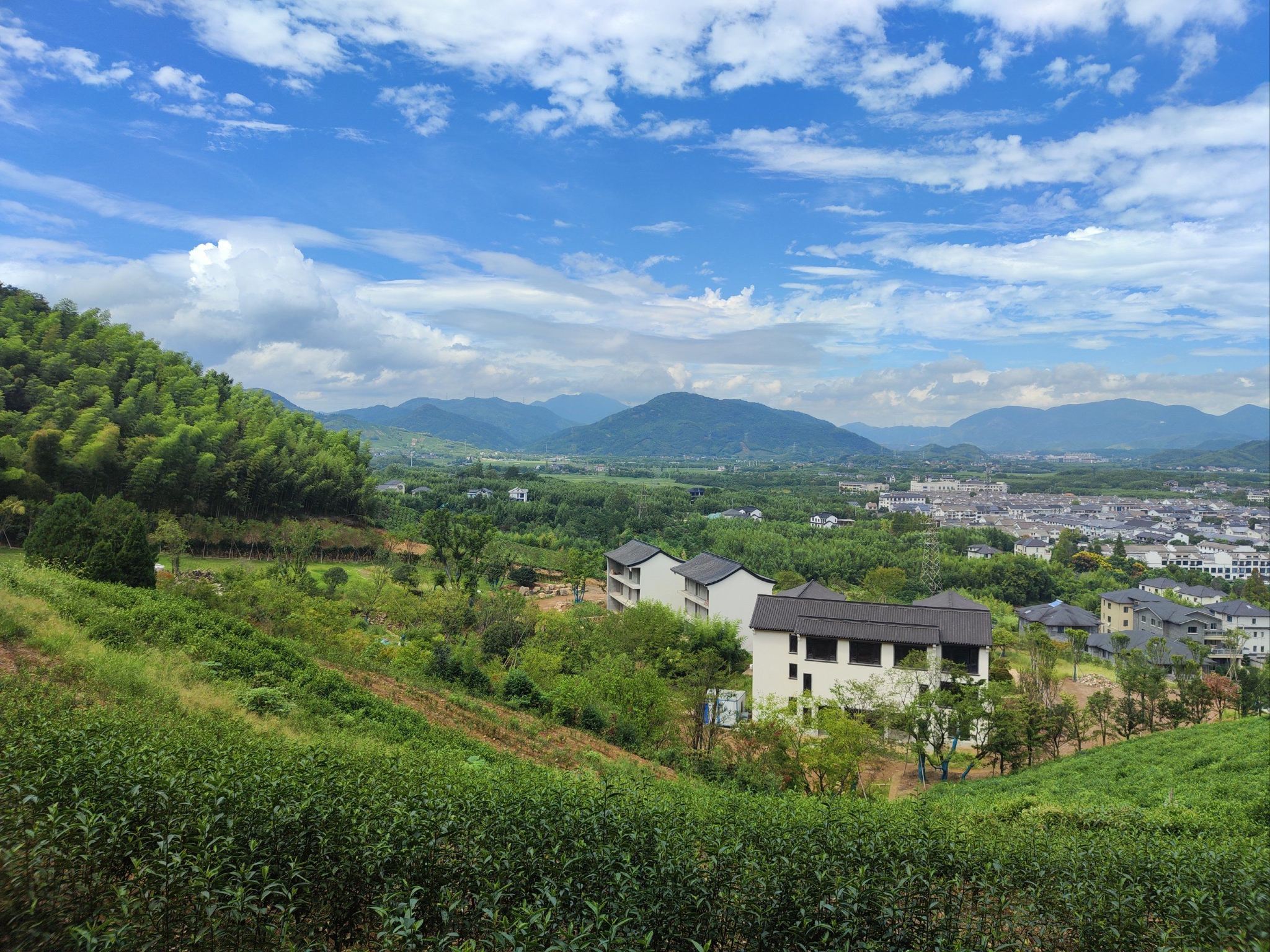 Business-Van | Optionaler englischsprachiger Reiseleiter | Abfahrt von Hangzhou | Teekulturpark Jingshan + Ruinen der alten Stadt Liangzhu