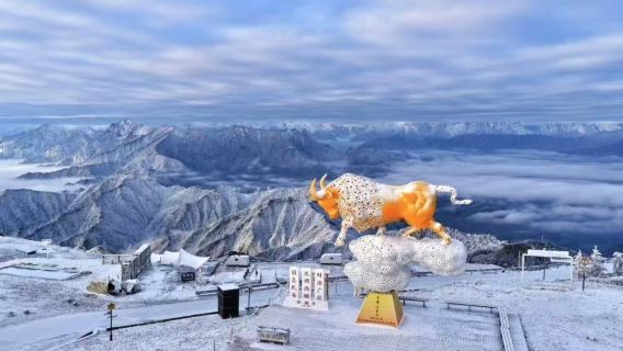 Privattransfer ab Ya'an, Sichuan – Tagesausflug zum Niubei-Berg – Wolkenmeer bewundern|Sonnenuntergang verfolgen|Sternenhimmel bewundern|Wandern