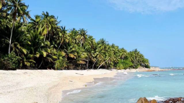 Hainan | Lawatan Sehari Sewaan Peribadi Qionghai: Ekologi Semula Jadi + Budaya Cina Luar Negara + Pesona Pantai