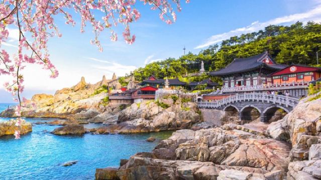 Authentic Busan Full-Day City Highlights Tour