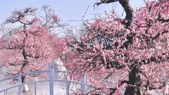 Round-trip from Suzhou: Private Charter 1-Day Tour to Wuxi, Jiangsu | Customizable Itinerary | Foreign Guests Welcome