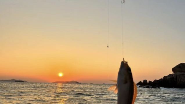 【舟山海釣拼船】舟山專業釣魚艇拼船出海海釣～船型多樣開開心心釣大魚
