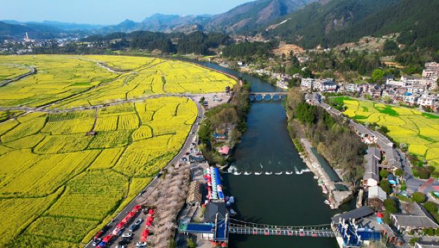 [Berlepas dari Guiyang] Lawatan Sehari Bas Ulang-alik ke Gunung Emas & Lautan Tulip + Aktiviti Santai