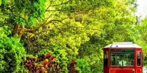 香港太平山頂纜車票 | 凌霄閣428摩天台 | 美食券 | 可自選