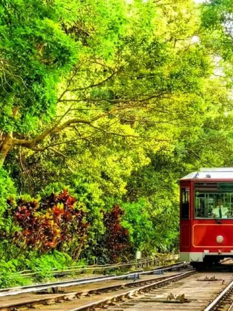 香港太平山頂纜車票 | 凌霄閣428摩天台 | 美食券 | 可自選