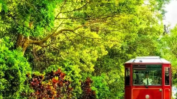 Hong Kong Victoria Peak tram ticket | Sky Terrace 428 | dining voucher | optional