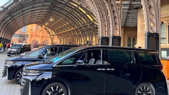 Trasferimento transfrontaliero con noleggio con conducente esclusivo nella Greater Bay Area Guangdong-Hong Kong-Macau] Veicolo di lusso Toyota Alphard con targa tripla per Guangzhou/Shenzhen/Zhuhai/Macau/Hong Kong, trasferimenti aeroportuali per viaggi d'affari, tour familiari con noleggio con conducente esclusivo, servizio fotografico durante il viaggio, collegamento diretto senza soste