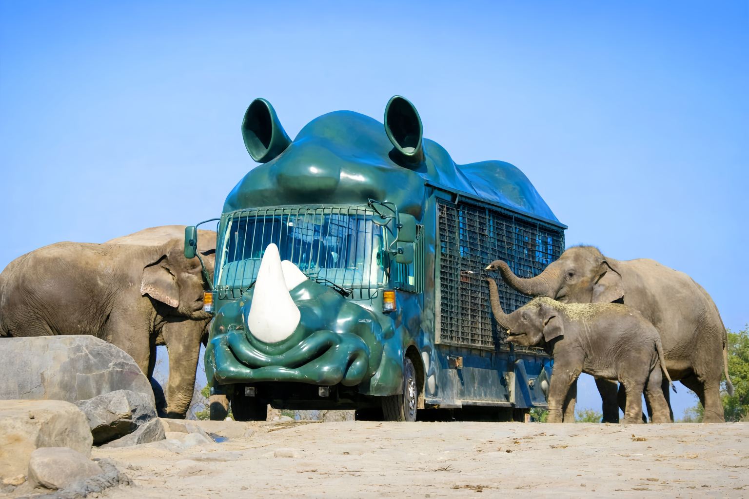 Kyushu Nature Zoo one-day tour