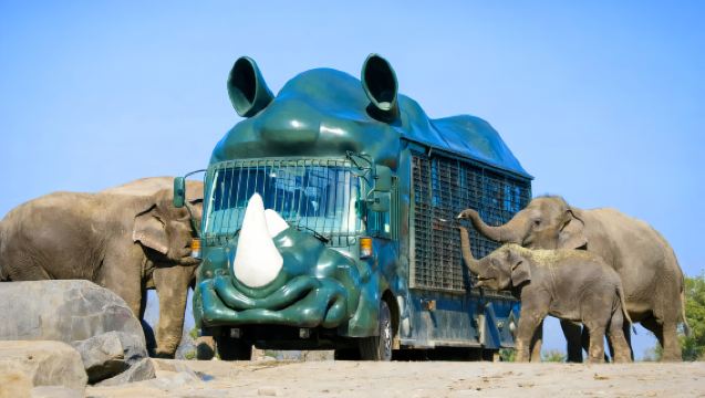 1-Day Tour of Kyushu's Fairy Tale Nature in Japan · Zoo · Yufuin Fairy Tale Street · Mountain Views