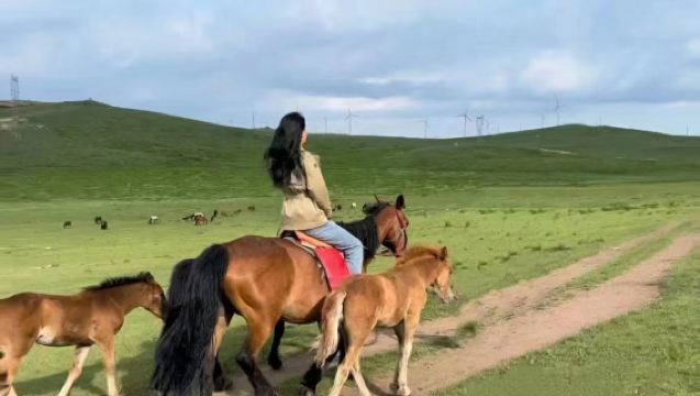 Lawatan Sehari ke Xilamuren (Termasuk Menunggang Kuda + Kenderaan Pacuan Empat Roda + Ladang + Persembahan Ekuestrian)