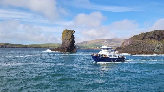 2-hour Guided Mini Eco Tour at Dingle, Ireland