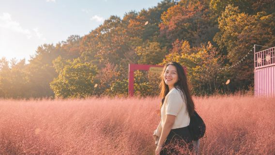 Departing from Seoul: Hantangang Y-shaped suspension bridge + Pigeon falls + Herb island day tour