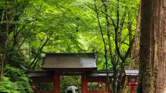 Tour di un giorno da Osaka, Giappone: Santuario Kifune a Kyoto + Treno Eizan | Servizio di prelievo a domicilio