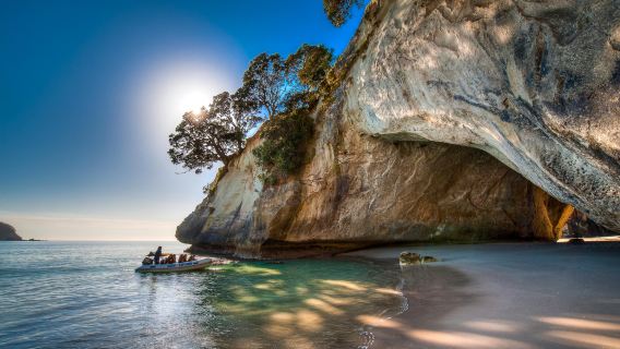 Crucero de exploración marítima de 60 minutos por la Catedral Cove en la península de Coromandel, Nueva Zelanda | Descubre las espectaculares formaciones rocosas de la costa