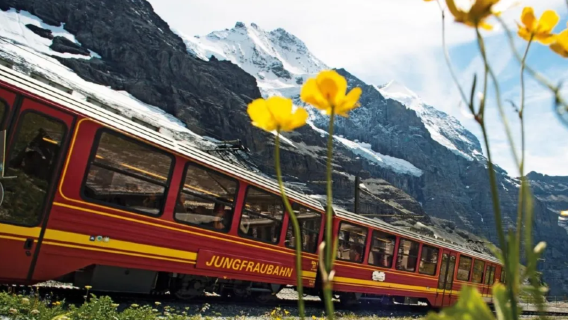 Lucerne to Jungfraujoch - Top of Europe and Bernese Oberland 1-day tour | Including Eiger express cable car