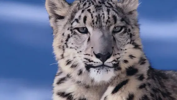 西寧+青藏高原野生動物園+植物園1日遊（真純玩|無套路）