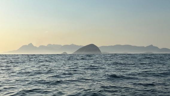 The Rio´s Ultimate Whale Whatching Experience