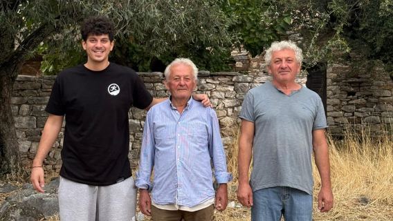 The Olive Tree Year: Walk, Olives & Tasting in Kalamata