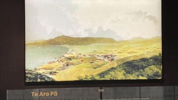 Wellington: Hidden Māori Treasures Tour