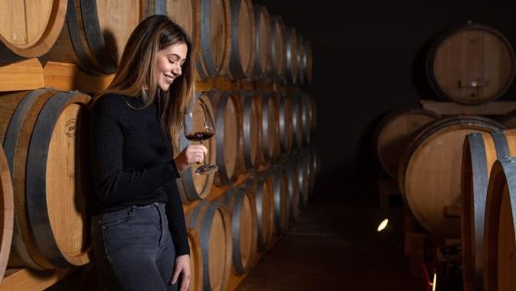 Pervino Wine Experience: Discover the Taste of Istria