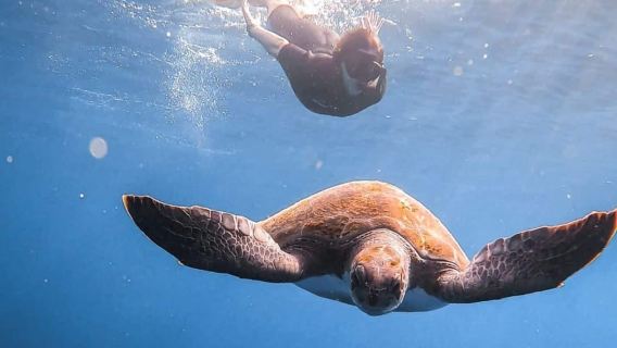 FROM PAPHOS: Snorkeling at the Marine Park (shore)