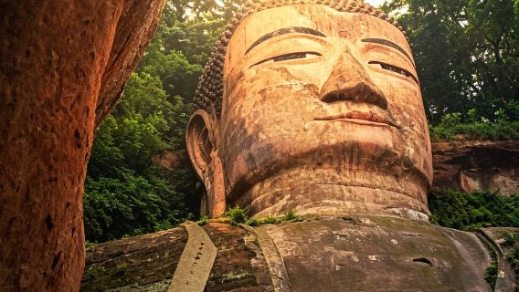 2-8 personers gruppe ◆ Panda Base + Leshan Buddha dagstur | valgfri engelsk/kinesisk guide ● privat tur