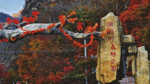 丹東蒲石河一日遊【包車遊】