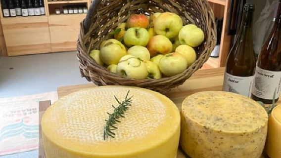 Winnica Wieliczka: Wine and Cheese Tasting and Tour