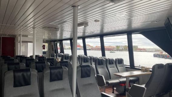 Alta: Crociera di 4 ore nel fiordo e per l'avvistamento di balene