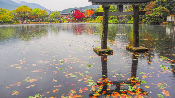 日本九州大分ワンデーツアー｜由布院（湯布院）・金鱗湖・別府地獄・日田