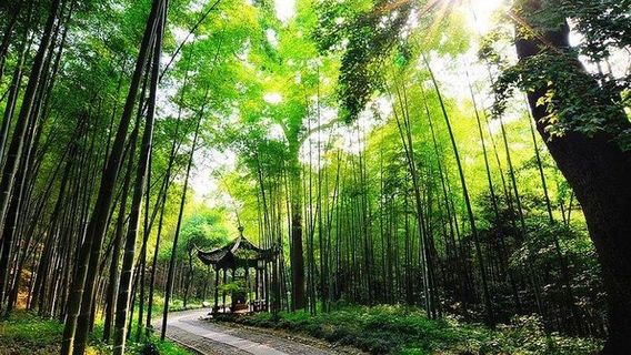 HangzhouTours