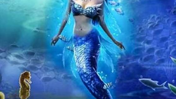 Kota Kinabalu, Sabah Mantanani Islands snorkeling join-in 1-day tour | Lunch included | Can be combined with Kawa River mangrove exploration