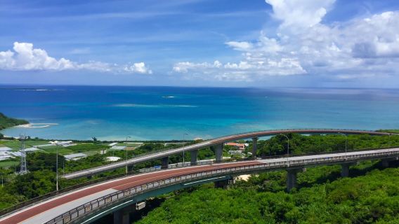 日本沖繩南部一日遊|系滿海鮮市場& 沖繩Outlet& 瀨長島