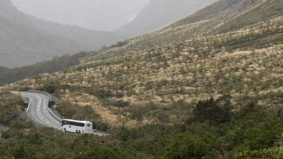 GammackTours