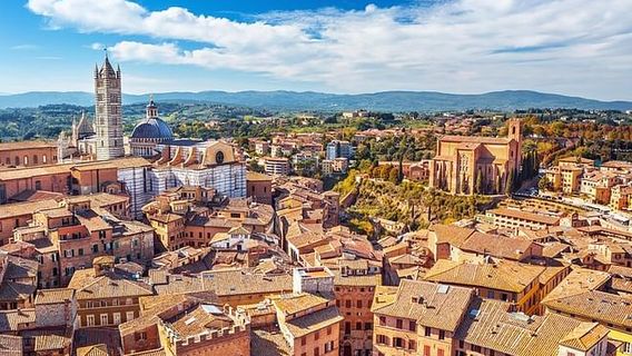 FlorenceTours