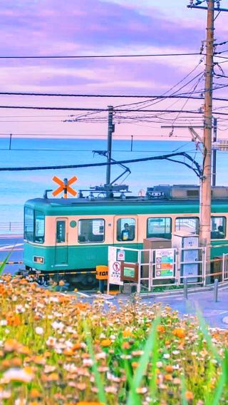 Kamakura Private Vehicle Charter from Tokyo with English-Speaking Driver | Customizable Itinerary | Contact Us for Other Destinations (e.g., Hakone, Mount Fuji, Izu, Nikko, Mount Fuji, Hakuba, Tokyo, Yokohama) Kamakura Day Tour Trip